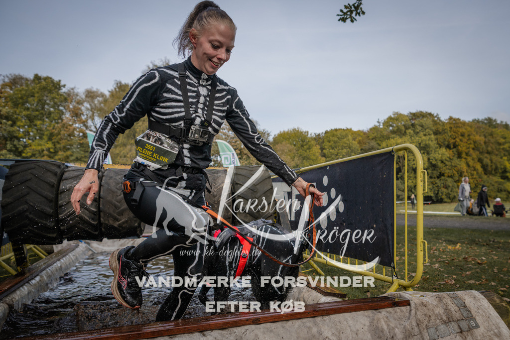 1451_ZZ90441 | kk-dogfotos