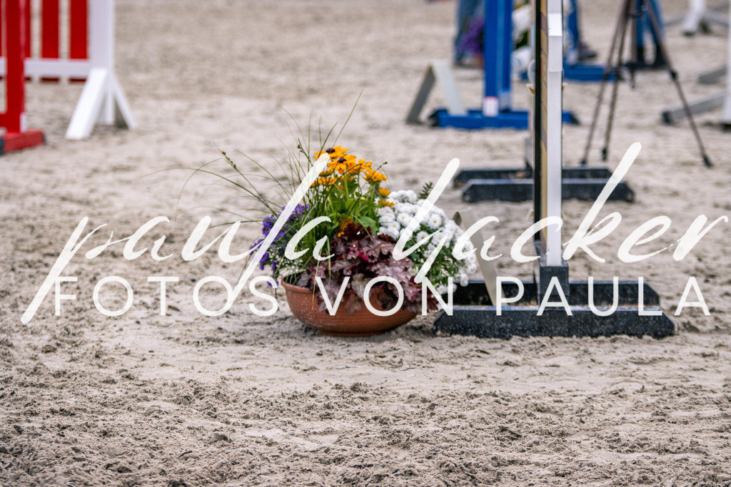 IMG_6096 | Erleben Sie dynamische Sport- und emotionale Tierfotografie in Süddeutschland mit Fotos von Paula. Spezialisiert auf Pferde- und Hundefotografie sowie Sportevents. Kontaktieren Sie mich für einzigartige und ausdrucksstarke Bilder Ihrer besonderen Momente.