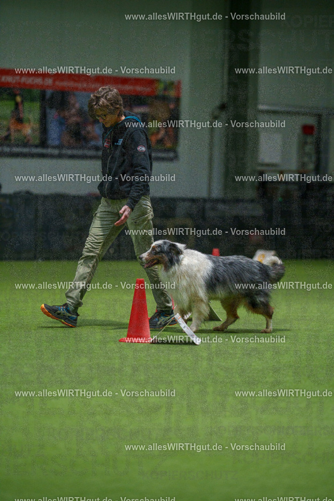 7R504703 | Professionelle Tierfotografie in Mönchengladbach von Daniel Wirth (allesWIRTHgut). Liebevolle & natürliche Bilder von Hunden & Katzen für unvergessliche Erinnerungen.