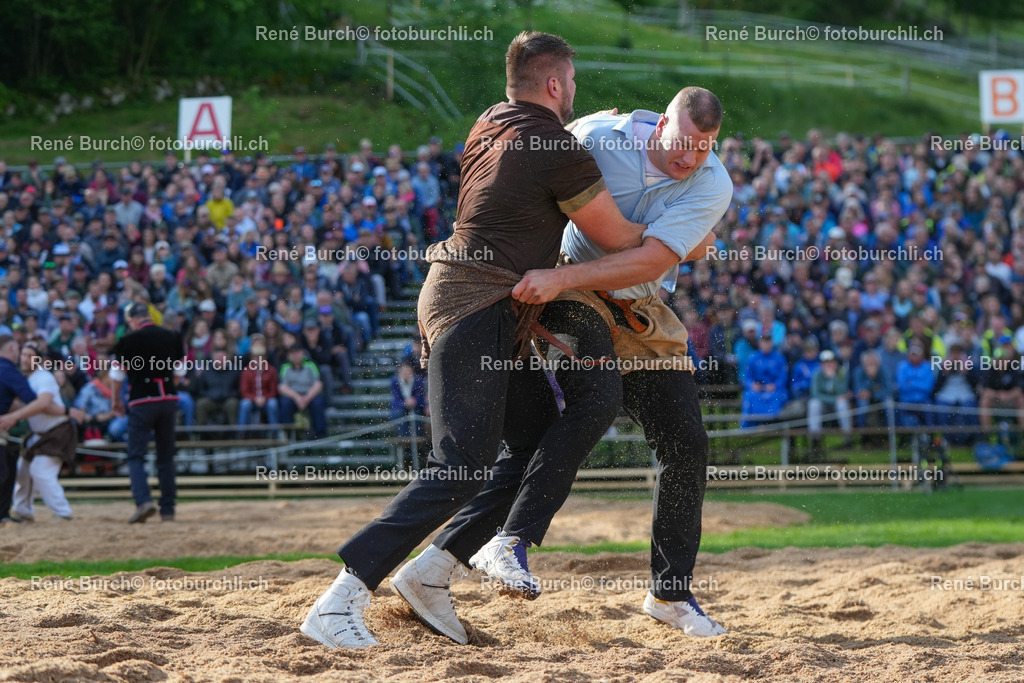 RB-08615 | René Burch leidenschaftlicher Fotograf aus Kerns in Obwalden.  Hier finden sie Sport, Landschaft und Natur Fotografie.
 - Realisiert mit Pictrs.com