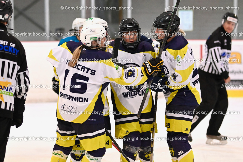 BST_6588 | hockey sports photos, Pressefotos, Sportfotos, hockey247, win 2day icehockeyleague, Handball Austria, Floorball Austria, ÖVV, Kärntner Eishockeyverband, KEHV, KFV, Kärntner Fussballverband, Österreichischer Volleyballverband, Alps Hockey League, ÖFB, 