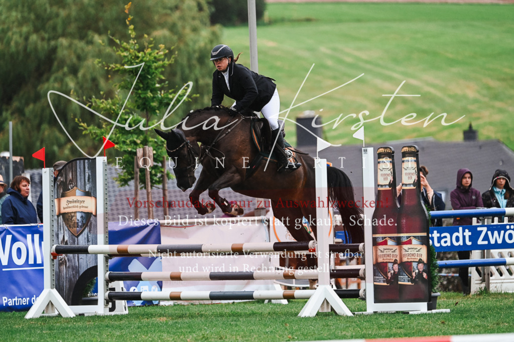 DSC_6450 | Pferde- und Turnierfotografie in Westsachsen. Pferdeportraits, Auftragszeichnungen und intuitive Kunst.