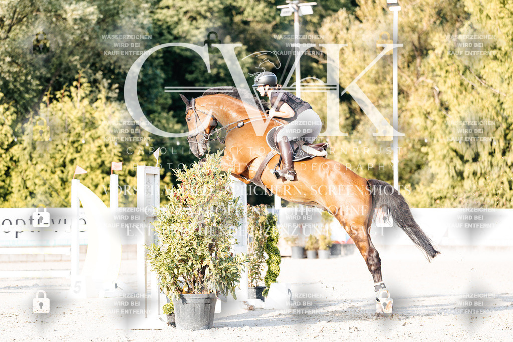 CK903474 | Turnierfotografie Pferdefotografie Trier Rheinland-Pfalz Pferdesport Reitsport Tierfotografie Sportfotografie Pferdevideo Pferdevideografie Equestrianvideography equestrianphotography  - Realisiert mit Pictrs.com