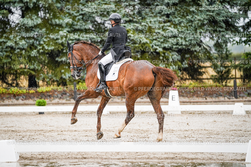 DSC09155 | Pferdegrafie