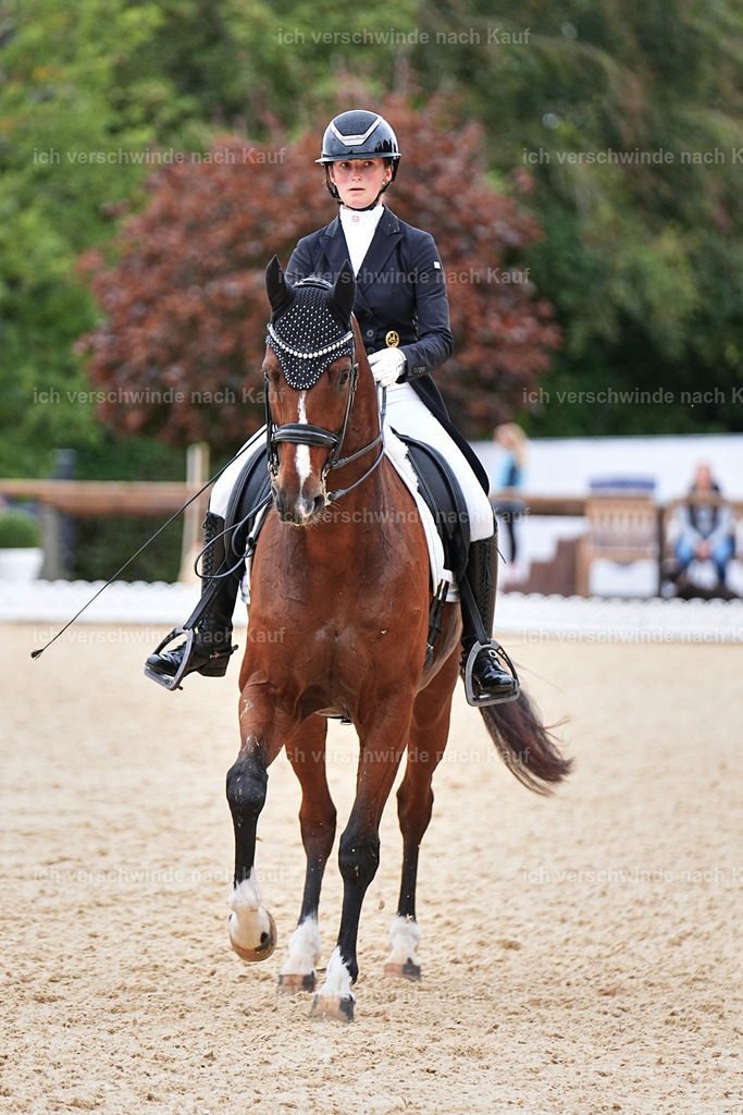 11-048-Dressur S___-Marixx-1527 | working equitationturnier fotograf videograf stoibphotography marixx film working equitation deutschland reitsport turnierfotografie eventfotografie equestrian events