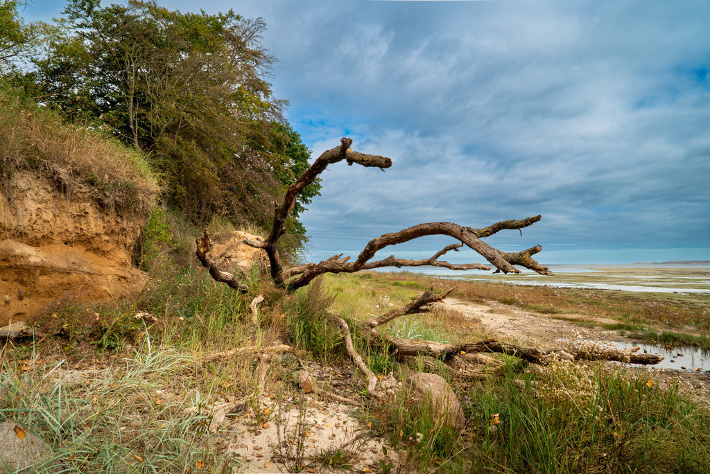 Hohenwieschendorf im Spätsommer | Ein Vormittag im Spätsommer 2023 an der Steilküste vor Hohenwieschendorf in Mecklenburg-Vorpommern.  - Realisiert mit Pictrs.com