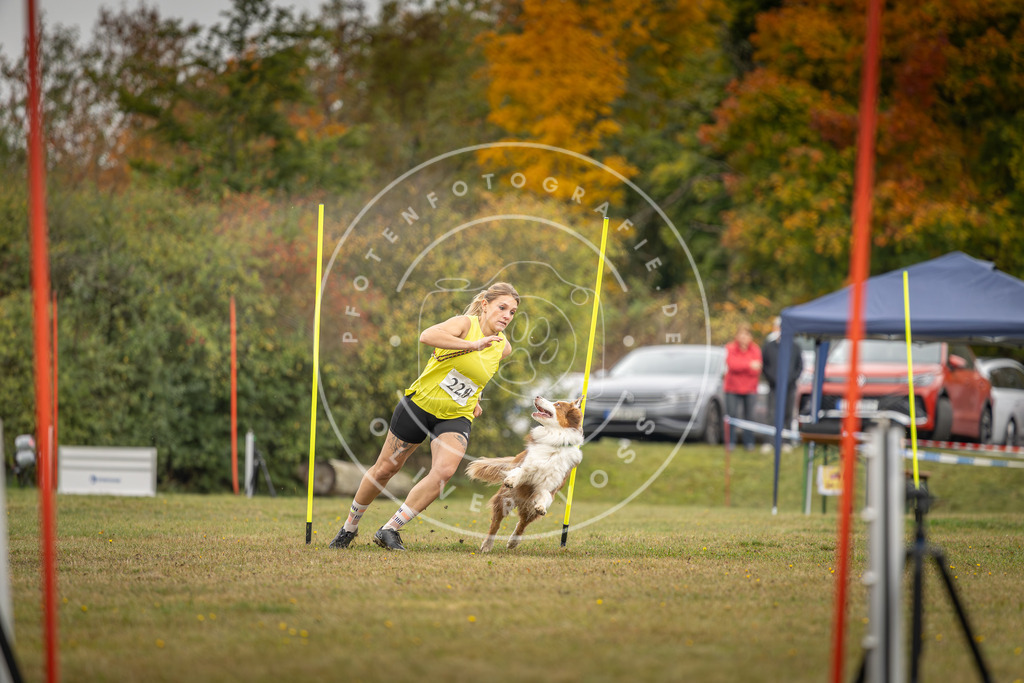Pfotenfotografie_DV3A3689 | Hundefotografie, Tierfotograf, Pfotenfotografie, Fotoshooting Hund, Hunde Portrait, Hundesport, Hundeportraits, Heideshooting, Hunde, Sportfotograf, Hundefotograf, Turnierhundsport, THS,  - Realisiert mit Pictrs.com