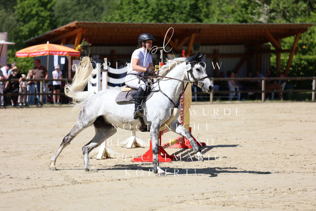 IMGS8549 | pl-fotografie