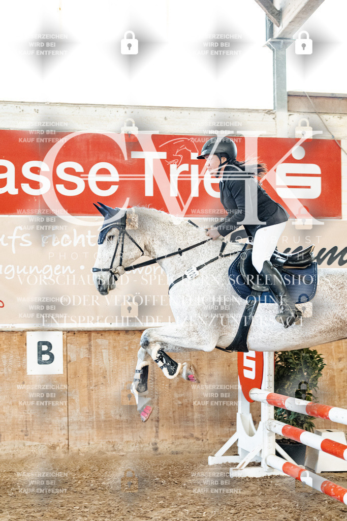 CK904330 | Turnierfotografie Pferdefotografie Trier Rheinland-Pfalz Pferdesport Reitsport Tierfotografie Sportfotografie Pferdevideo Pferdevideografie Equestrianvideography equestrianphotography  - Realisiert mit Pictrs.com