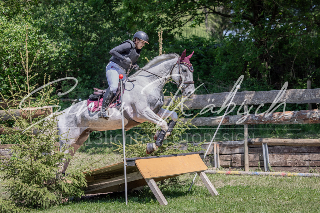 20260523-_3LI8833 | Tierfotografie Pferde, Hunde, Katzen, Haustiere.
Turnierfotografie Reitturniere, Reiten, Springreiten, Dressur in Hanau, dem Main-Kinzig-Kreis und dem Rhein-Main- Gebiet um Frankfurt