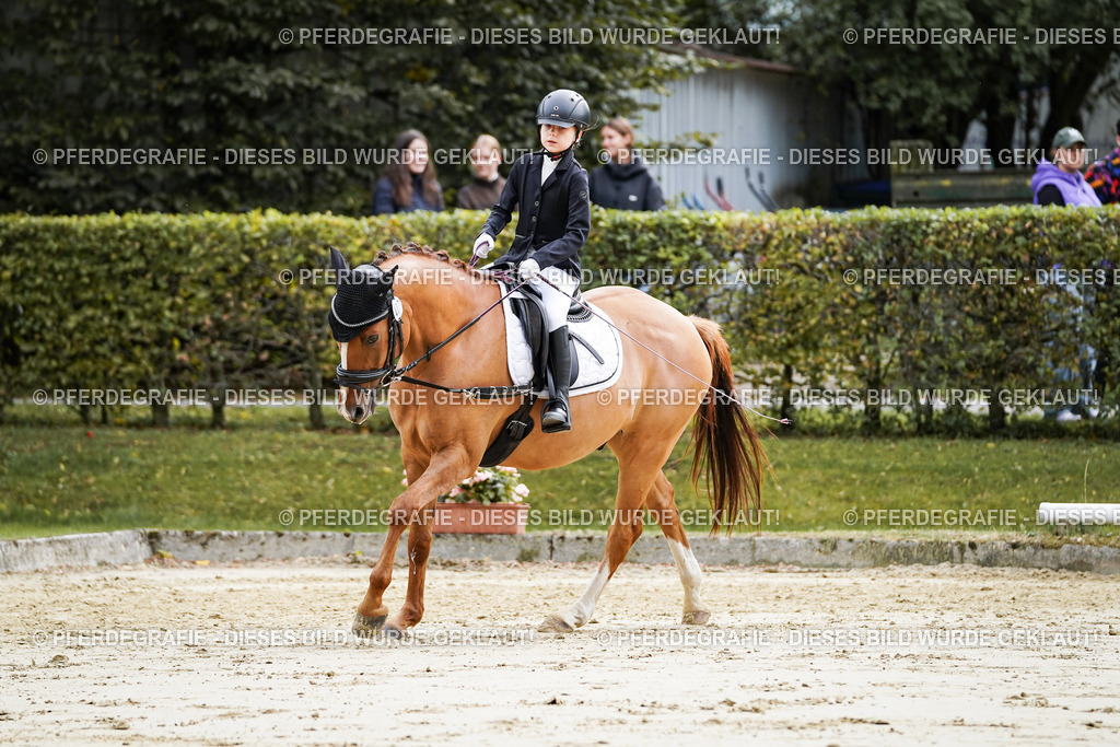 DSC05463 | Pferdegrafie