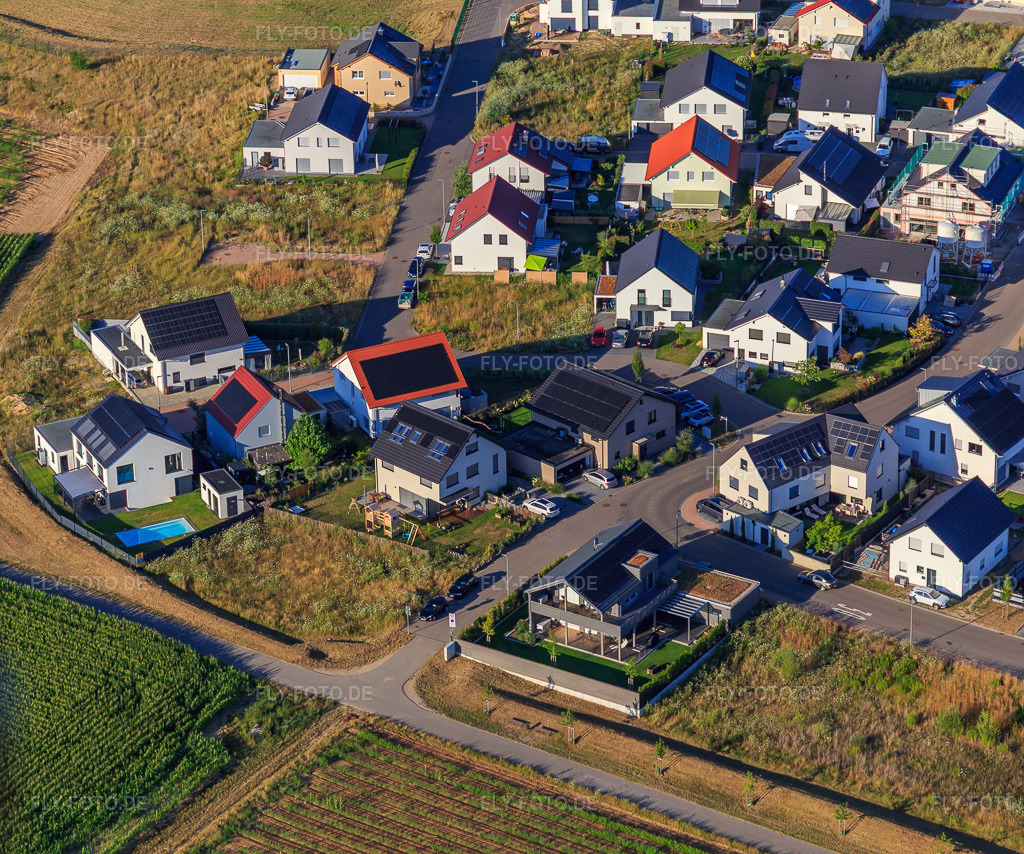 Luftbild: Veilchenweg, Narzissenweg in Kandel im Bundesland Rheinland-Pfalz in Deutschland. Foto: IMG_149422.jpg vom 18.07.2025 durch Werner Riehm/FLY-FOTO.de