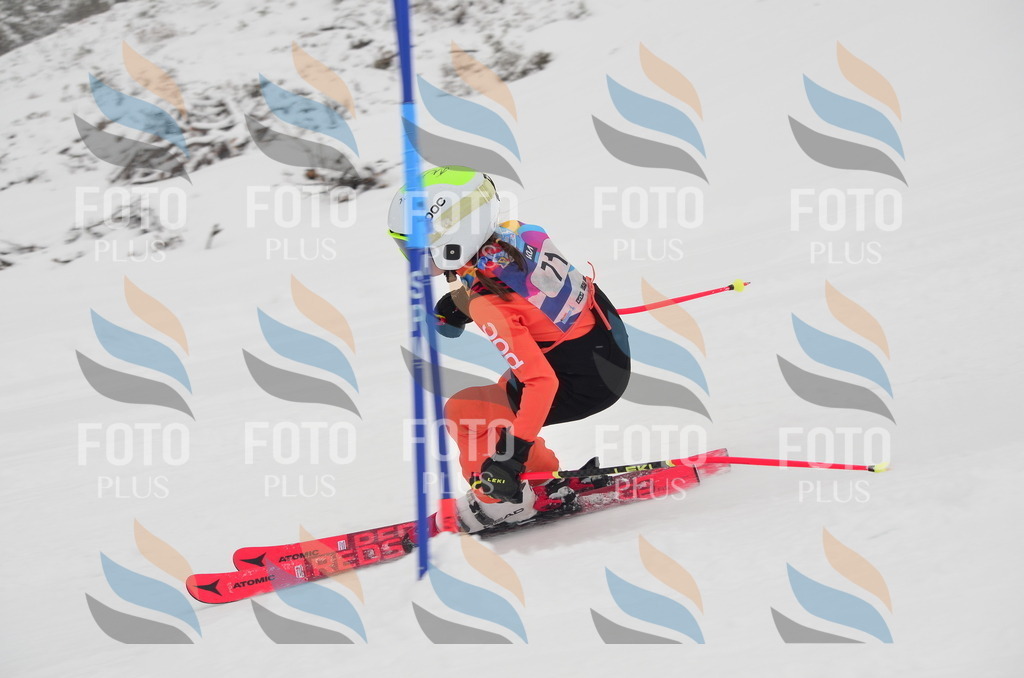 C1172 | holidayphoto