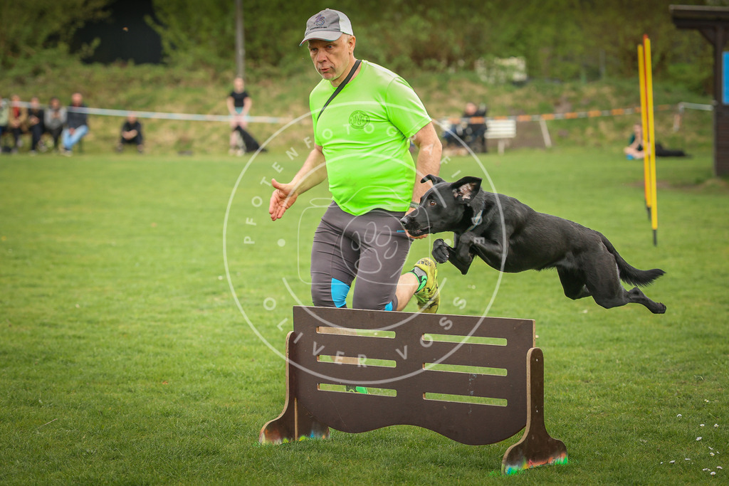 Pfotenfotografie_0L8A0963 | Hundefotografie, Tierfotograf, Pfotenfotografie, Fotoshooting Hund, Hunde Portrait, Hundesport, Hundeportraits, Heideshooting, Hunde, Sportfotograf, Hundefotograf, Turnierhundsport, THS,  - Realisiert mit Pictrs.com