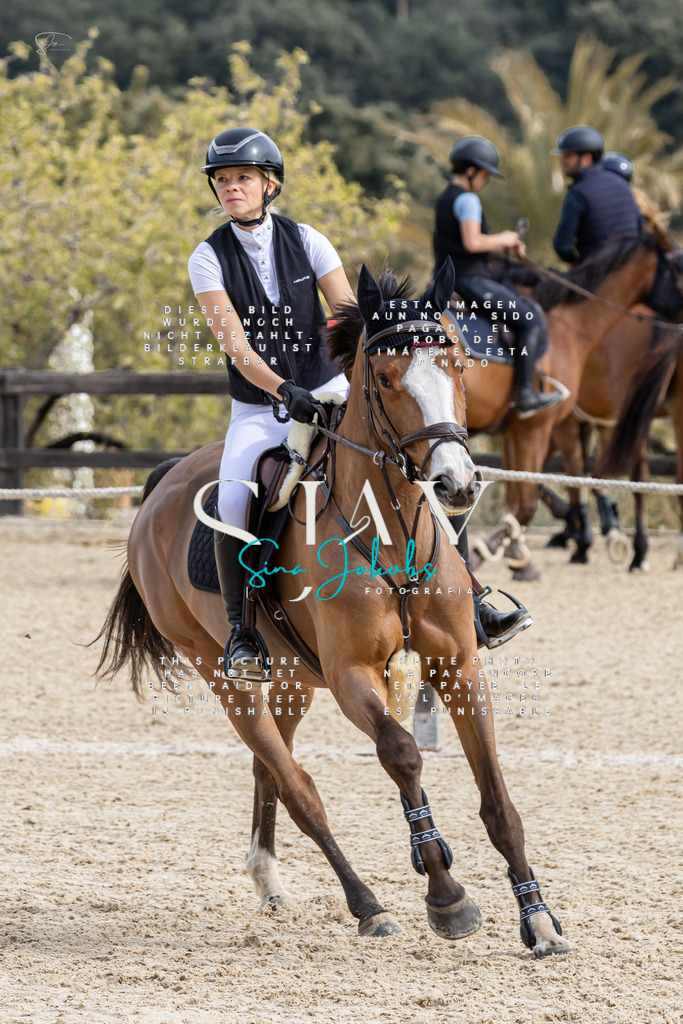 IMG_3629 | s-jay-photography - Realisiert mit Pictrs.com