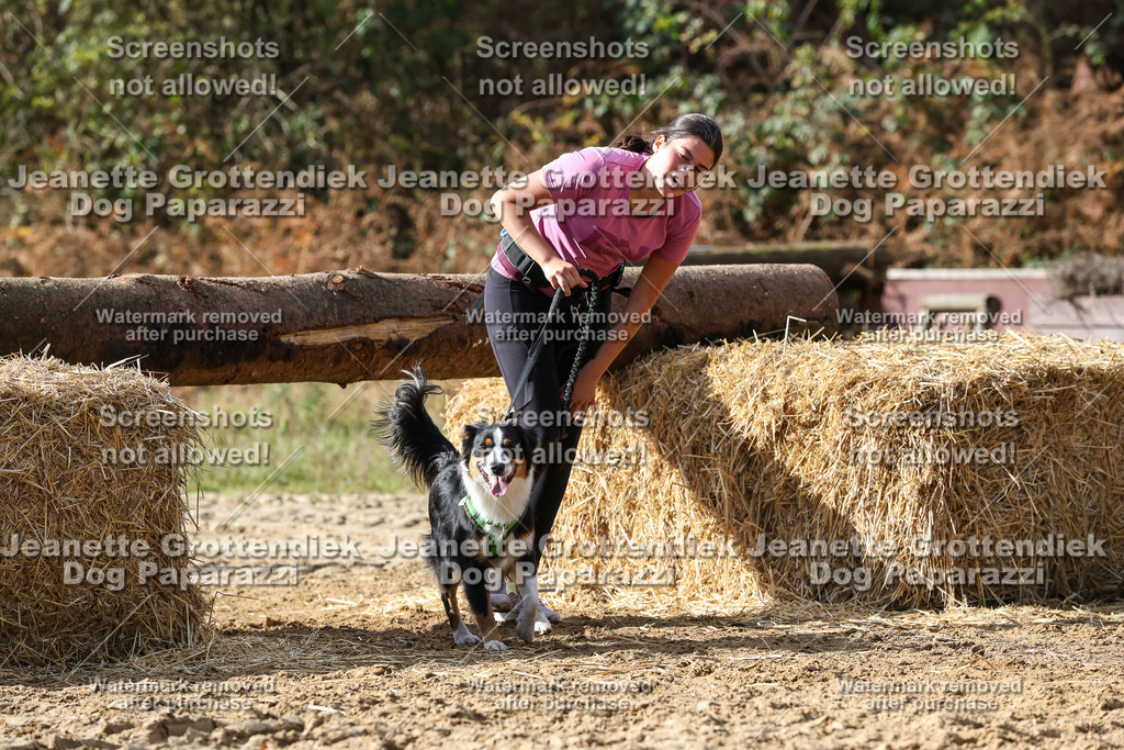 Dog Paparazzi - Strongdog 10-25-5061 | Dog Paparazzi Jeanette Grottendiek Fotografie & Videografie - Realisiert mit Pictrs.com