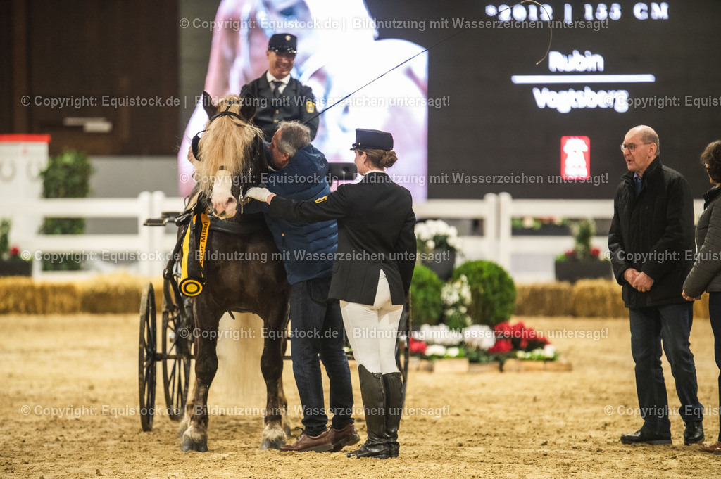 20240302_Hengstvorstellung_Marbach_TOMsPiC_0640-2 | equistock