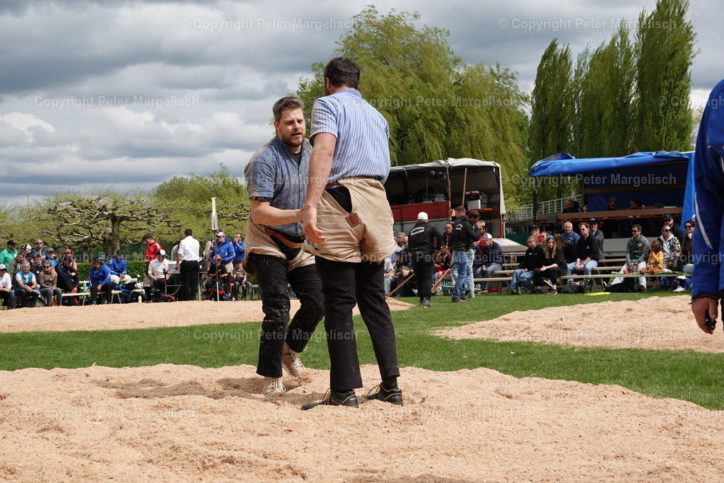 DSC00531 | Schwingen - Realisiert mit Pictrs.com