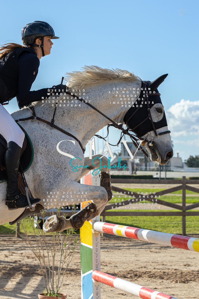 IMG_1778 | s-jay-photography - Realisiert mit Pictrs.com