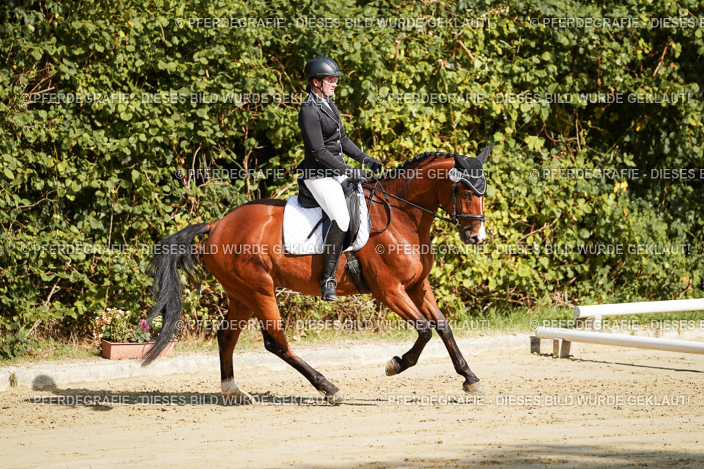 DSC08342 | Pferdegrafie