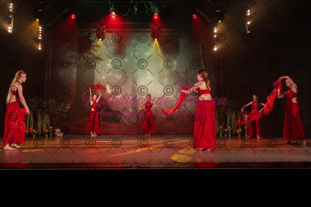 Ballettaufführung-962 | Bildershop Lem'n Entertainment - Realisiert mit Pictrs.com