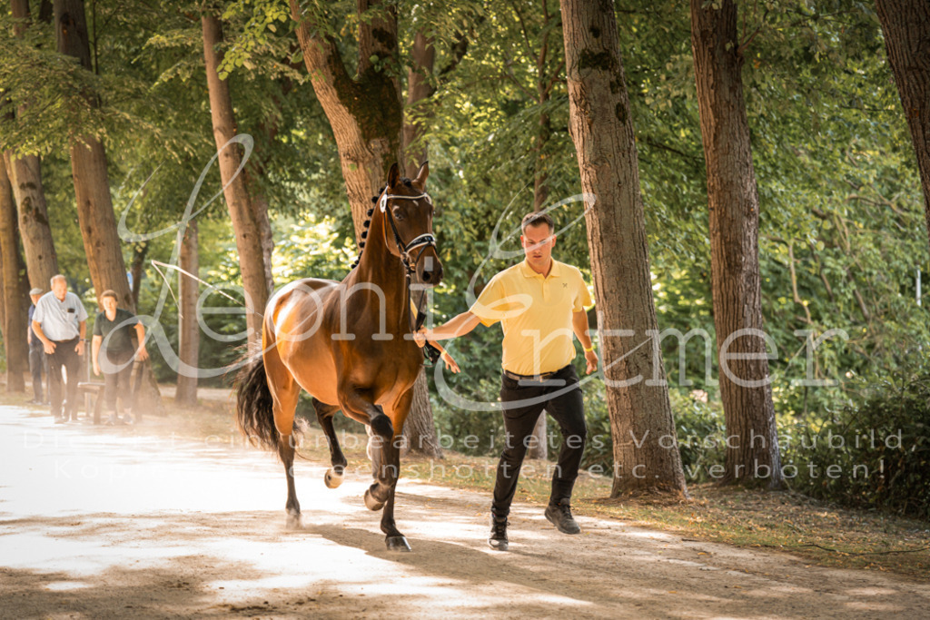 FrPfM00184 | Leoni Ertmer Photography - Realisiert mit Pictrs.com