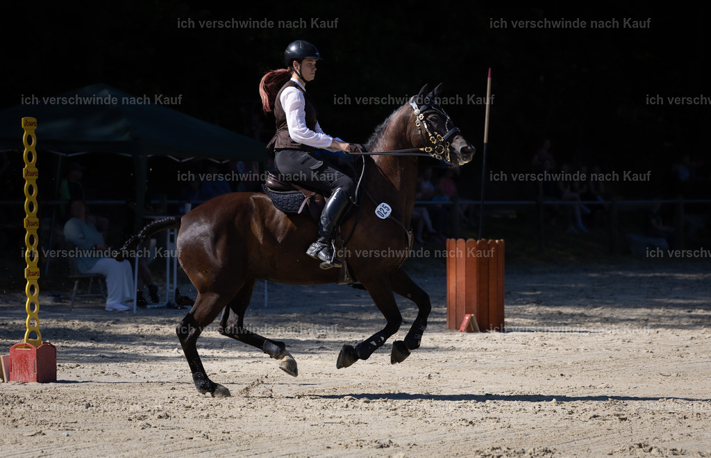 WL_Speed_25_KerstinBernhardt-2 | working equitationturnier fotograf videograf stoibphotography marixx film working equitation deutschland reitsport turnierfotografie eventfotografie equestrian events