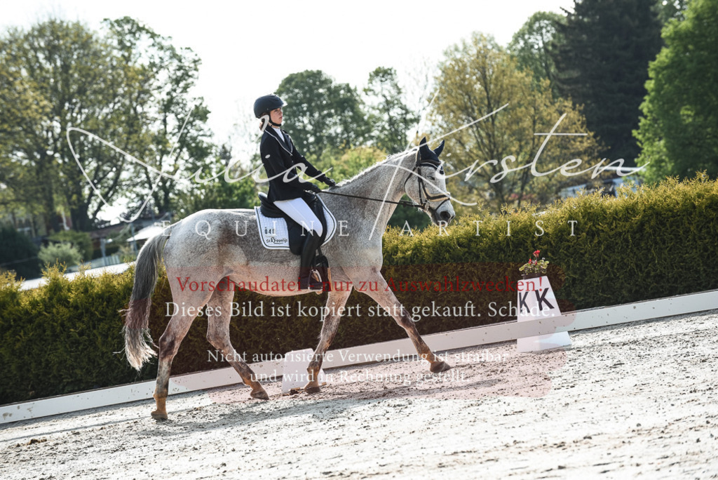 20230518_JK-Röhrsdorf-09-1139 | Pferde- und Turnierfotografie in Westsachsen. Pferdeportraits, Auftragszeichnungen und intuitive Kunst.
