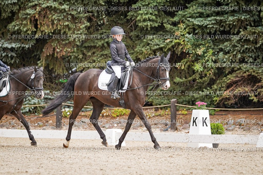 DSC02706 | Pferdegrafie