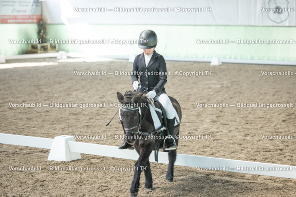 _D5A8880 | Emotionale Pferde- & People-Fotografie rund um Heidelberg, Leimen & Umgebung. Natürliche Fotos von Pferd, Mensch & Familie. Jetzt Termin sichern!