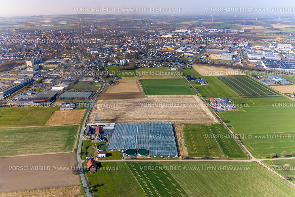 Werl220301197 | Luftbild, Landwirtschaftlicher Betrieb Gartenbau Stemann und Blick auf Werl, Werl, Soester Börde, Nordrhein-Westfalen, Deutschland