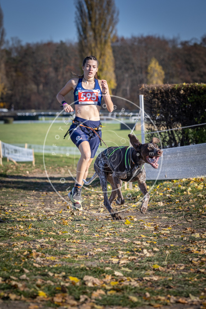 CaniXpix_DV3A9368 | Hundefotografie, Tierfotograf, Pfotenfotografie, Fotoshooting Hund, Hunde Portrait, Hundesport, Hundeportraits, Heideshooting, Hunde, Sportfotograf, Hundefotograf, Turnierhundsport, THS,  - Realisiert mit Pictrs.com