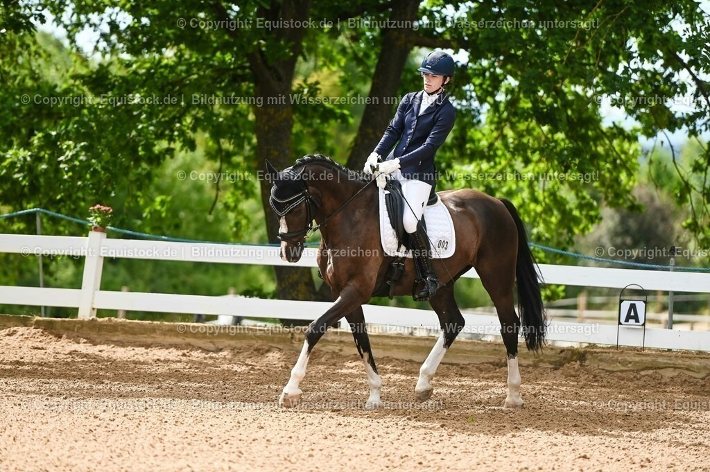 20230715_07_Dressurpferdeprfg. Kl.L_0008 | equistock