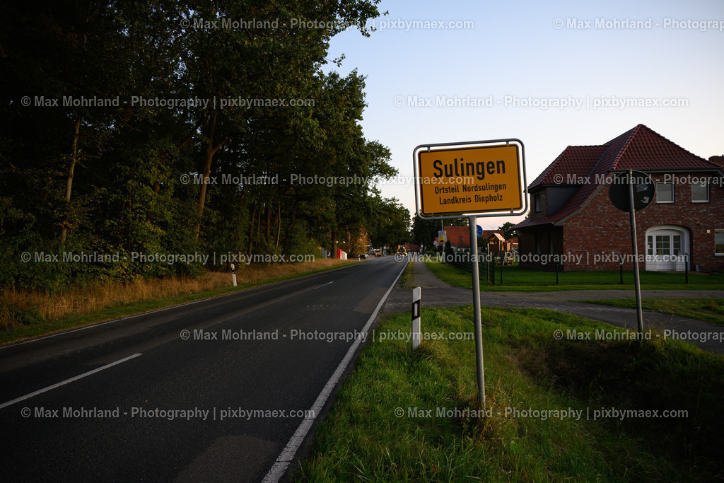 20250923-MZ6_3377 | Max Mohrland - Photography - Realisiert mit Pictrs.com