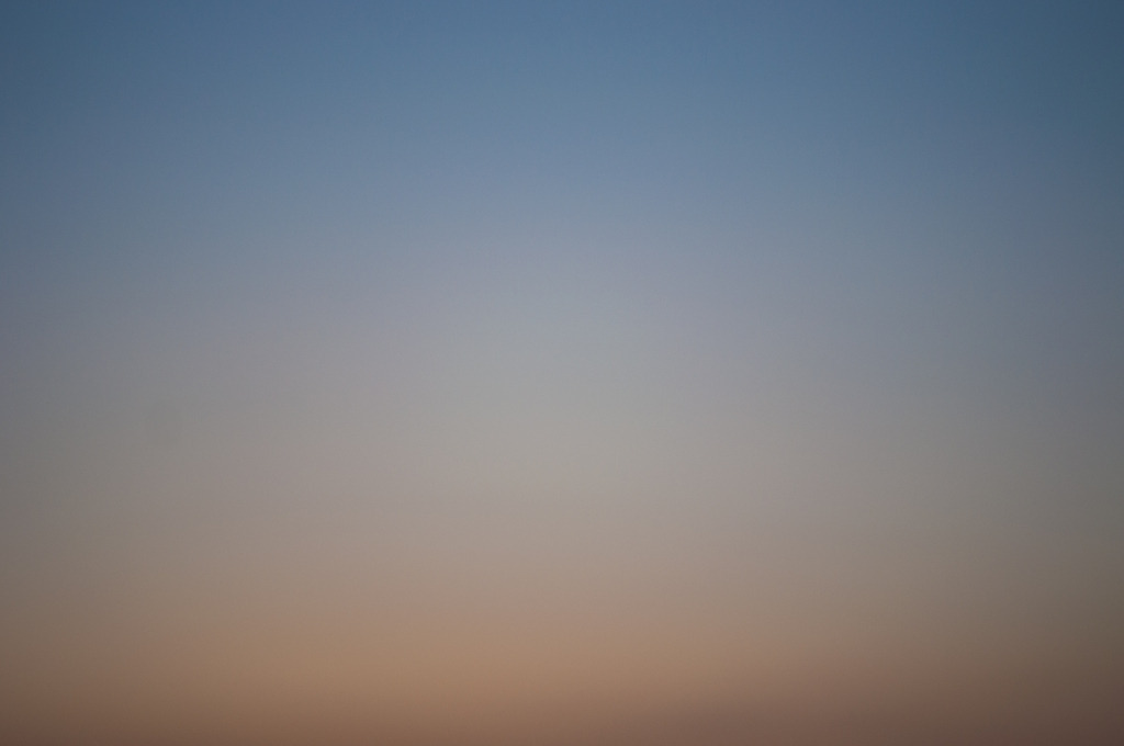 DSC_0572 | kaefersammler_roy - Realisiert mit Pictrs.com