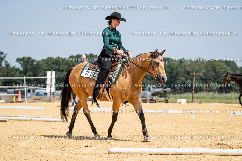 DSC01363 | Pferdegrafie