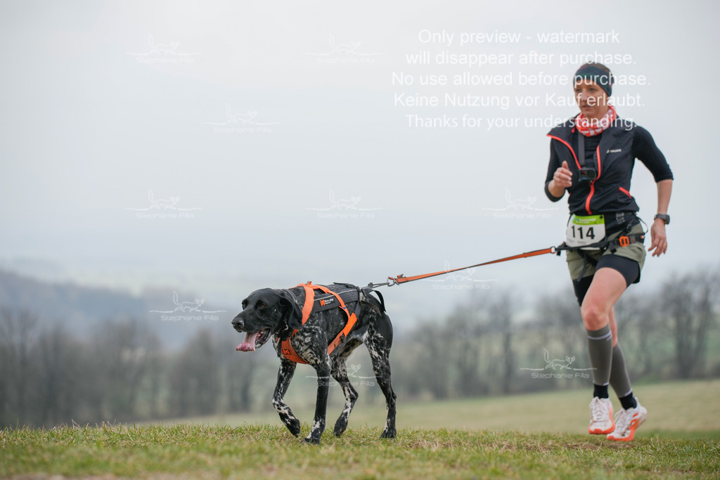 Canixlong-303 | stephaniefillaphotographie - Realisiert mit Pictrs.com