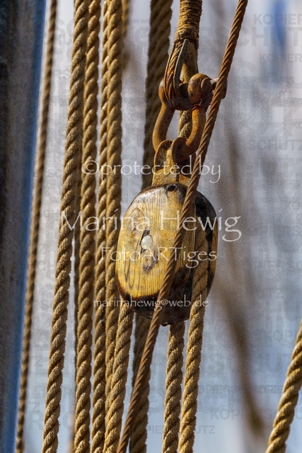 Windjammer24_MarinaHewig-4583 | Fotografie, FotoArt, PferdesportArt, Pferdesportfotografie, Landschaftsfotografie, Reisefotografie, Reise, Pferde - Realisiert mit Pictrs.com