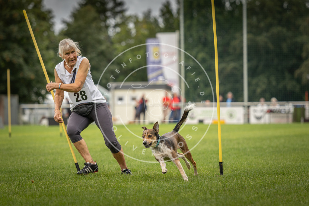 Pfotenfotografie_DV3A8188 | Hundefotografie, Tierfotograf, Pfotenfotografie, Fotoshooting Hund, Hunde Portrait, Hundesport, Hundeportraits, Heideshooting, Hunde, Sportfotograf, Hundefotograf, Turnierhundsport, THS,  - Realisiert mit Pictrs.com