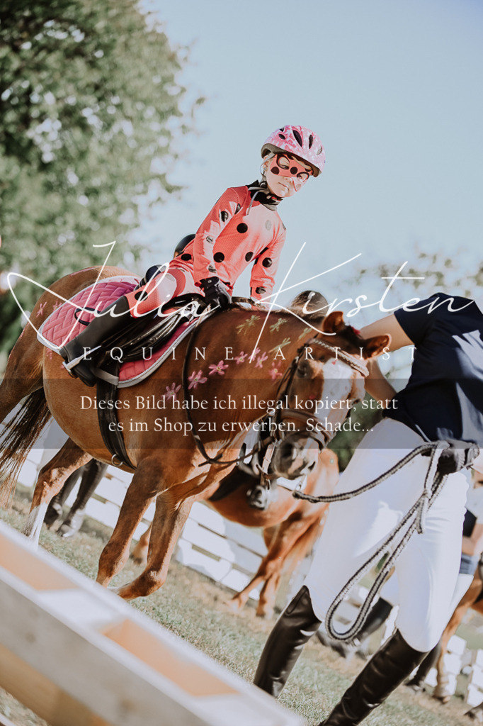 DSC_8860 | Pferde- und Turnierfotografie in Westsachsen. Pferdeportraits, Auftragszeichnungen und intuitive Kunst.