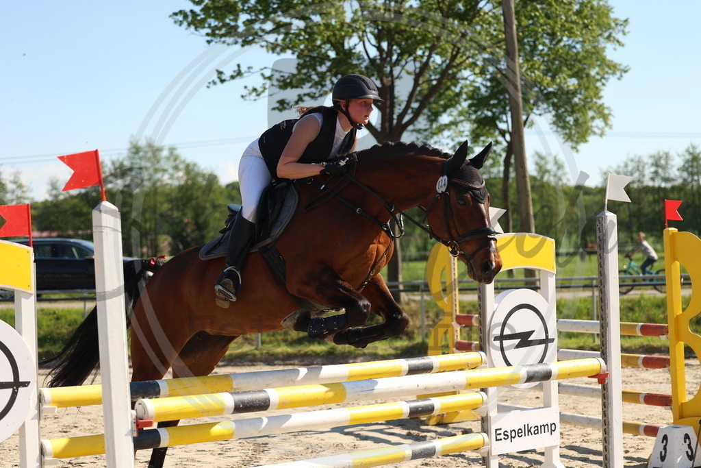 994A6122 | sabrinanicolaifotografie - Realisiert mit Pictrs.com