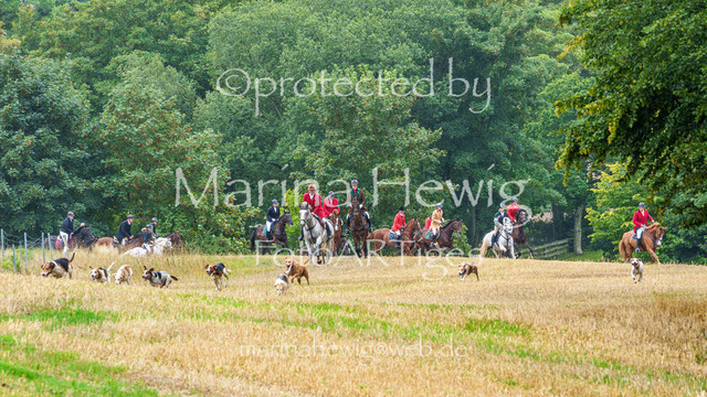 Jagd Kletkamp 26-02847_MarinaHewig | Fotografie, FotoArt, PferdesportArt, Pferdesportfotografie, Landschaftsfotografie, Reisefotografie, Reise, Pferde - Realisiert mit Pictrs.com