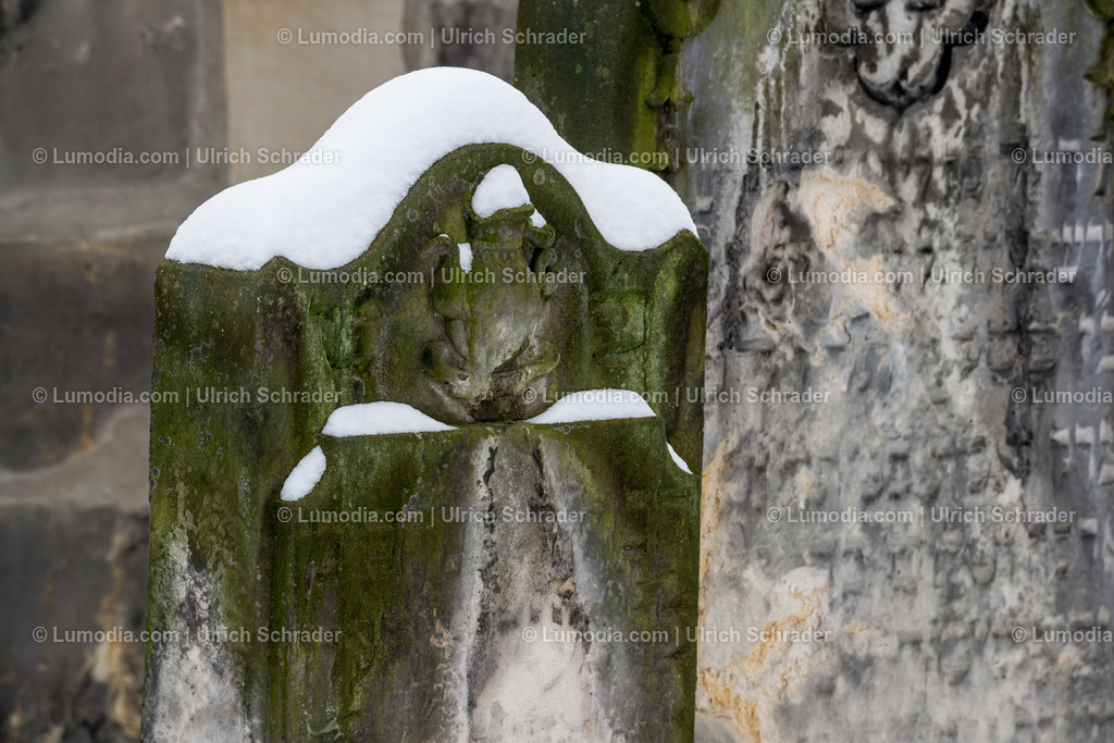 100494-3573 - Jüdischer Friedhof in Halberstadt | max. Bildgröße A2 | 300dpi - Realisiert mit Pictrs.com
