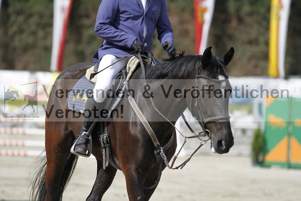 _MG_7800 | equestrian-live-com