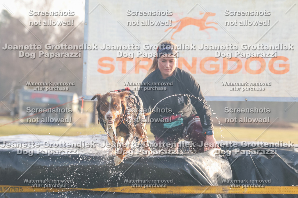 Dog Paparazzi - SD North Sa 830-900-167 | Dog Paparazzi Jeanette Grottendiek Fotografie & Videografie - Realisiert mit Pictrs.com