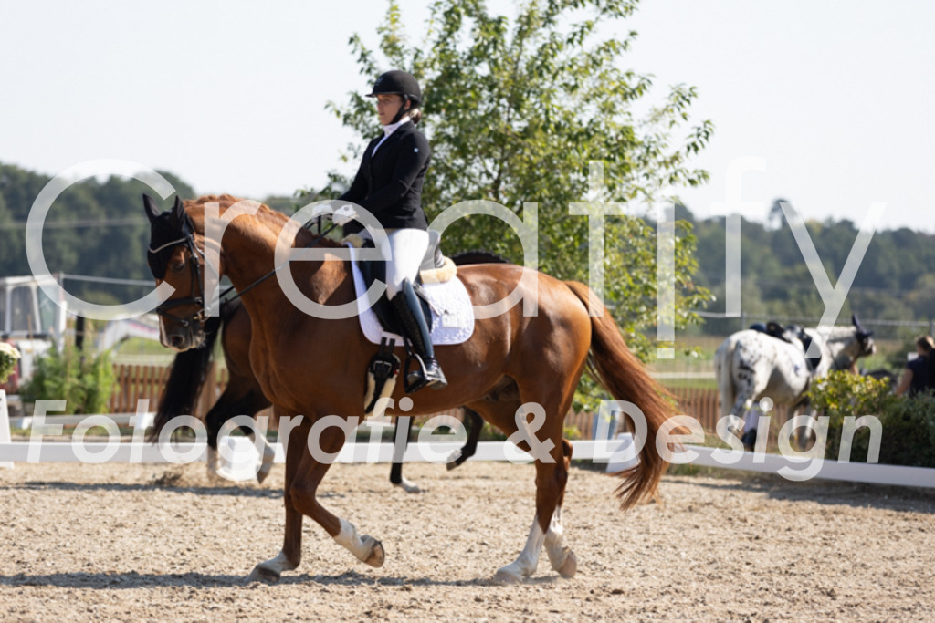 IMG_4702 | Creatify Fotografie