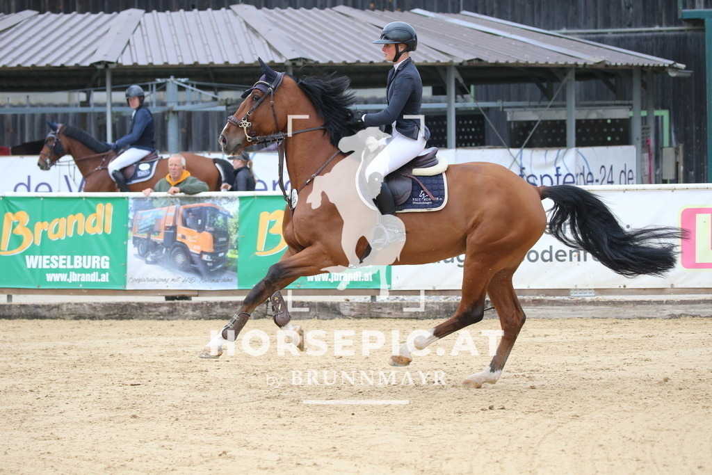 DL2Q0788 | Willkommen bei Brunnmayr - Design & Fotografie – Ihrem Spezialisten für Reitturniere und Pferdeveranstaltungen in Oberösterreich, Salzburg und Bayern! Seit über 17 Jahren sind wir leidenschaftlich dabei.