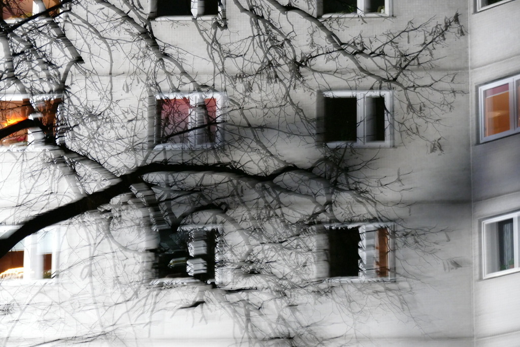 P2770265 | Annaeherungen - Realisiert mit Pictrs.com