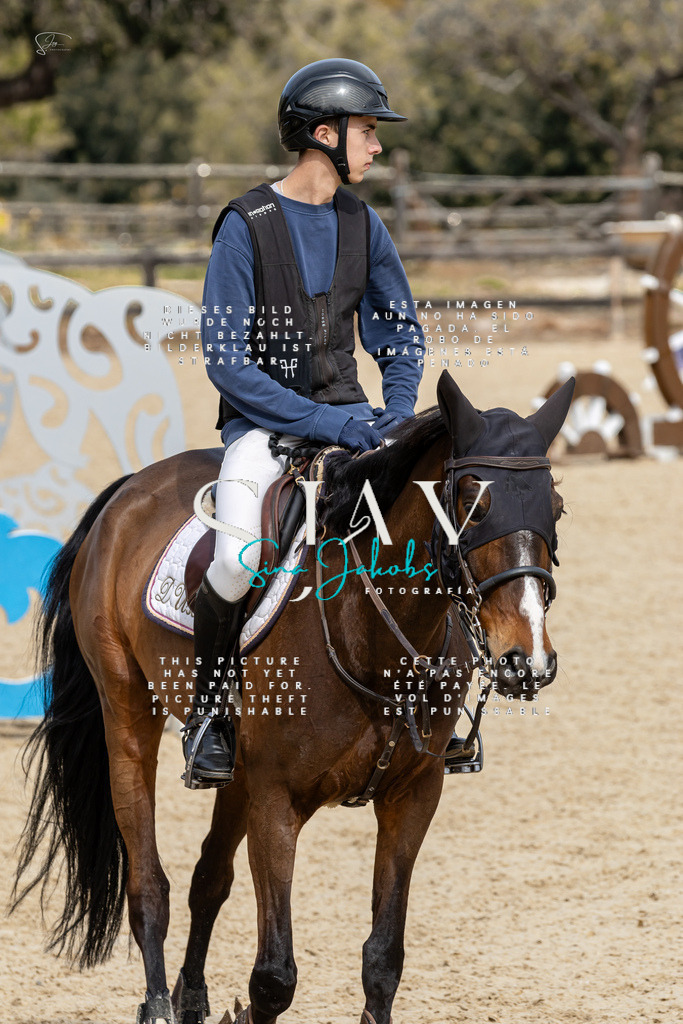 IMG_3611 | s-jay-photography - Realisiert mit Pictrs.com