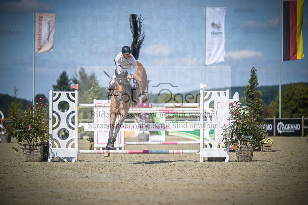 DOS_4311 | Entdecke hochwertige Reitturnierfotos von Foto Oger. Professionell, emotional und authentisch – jetzt Lieblingsmomente im Shop bestellen.Deutschlandweite Turnierfotografie. - Realisiert mit Pictrs.com
